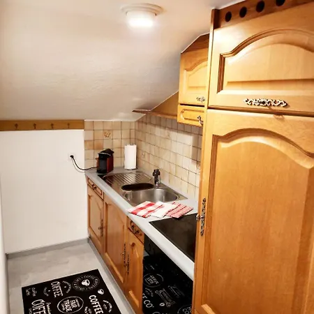 Διαμέρισμα Ferienwohnung In Perfekter Lage In Der Surselva Trun